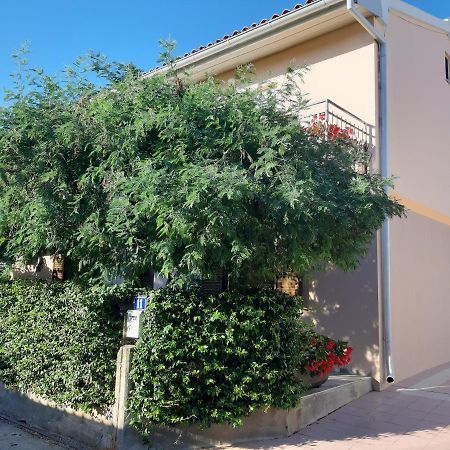 Studio Rocco Novigrad (Istria) Exterior foto